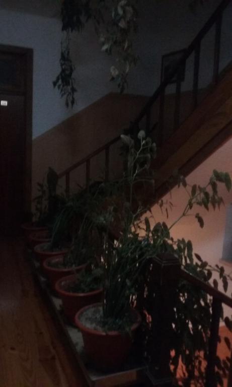 Pensao Avenida Hotel Penacova Eksteriør billede